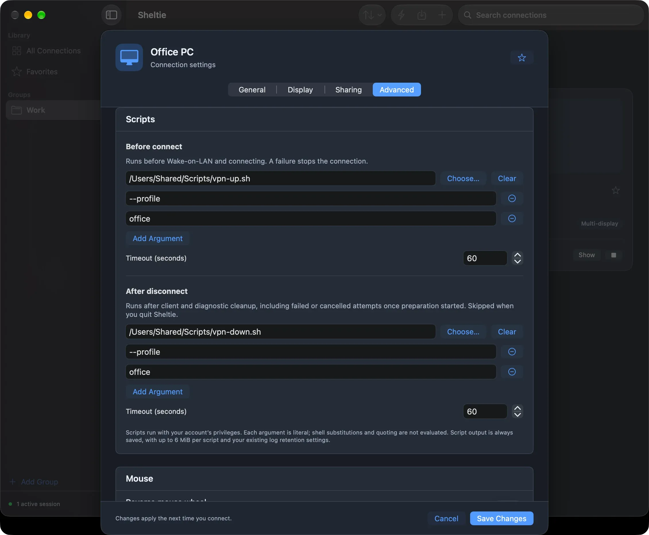 The Scripts section of a connection's Advanced tab, with Before connect and After disconnect scripts, arguments and timeouts.